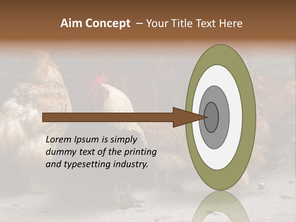 Red Poultry Bird PowerPoint Template