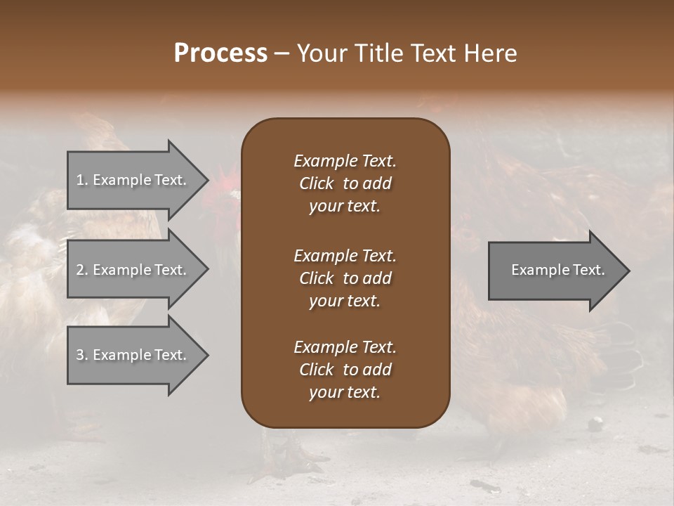 Red Poultry Bird PowerPoint Template