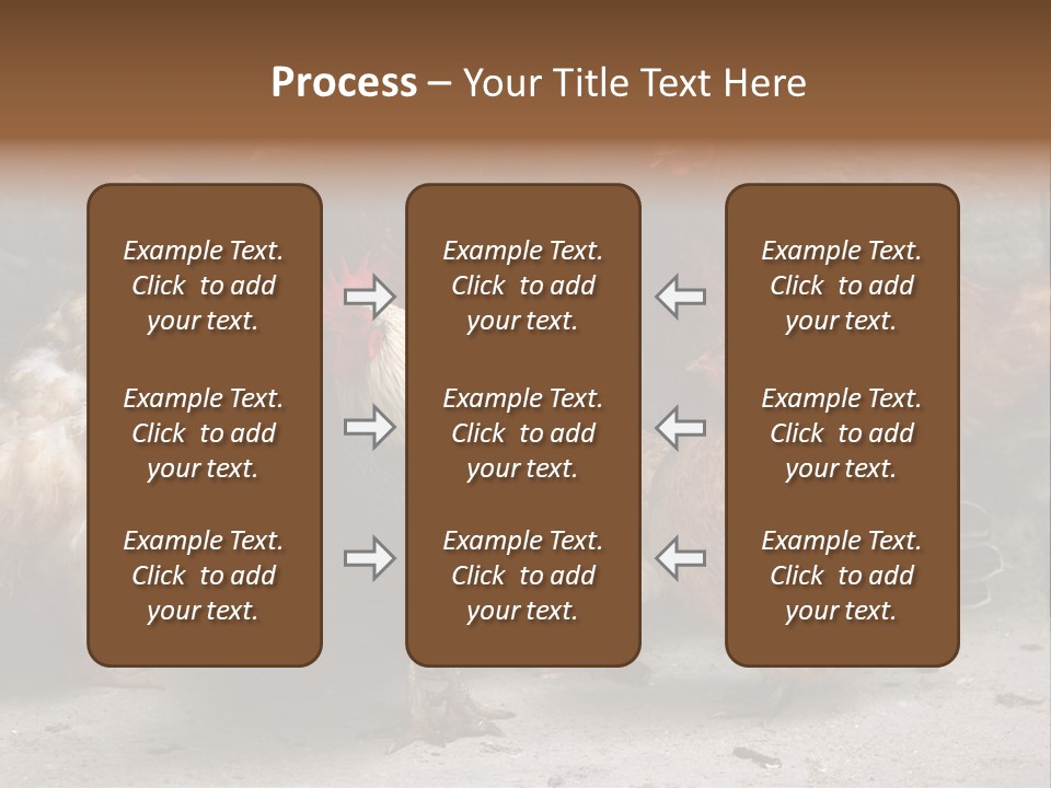Red Poultry Bird PowerPoint Template
