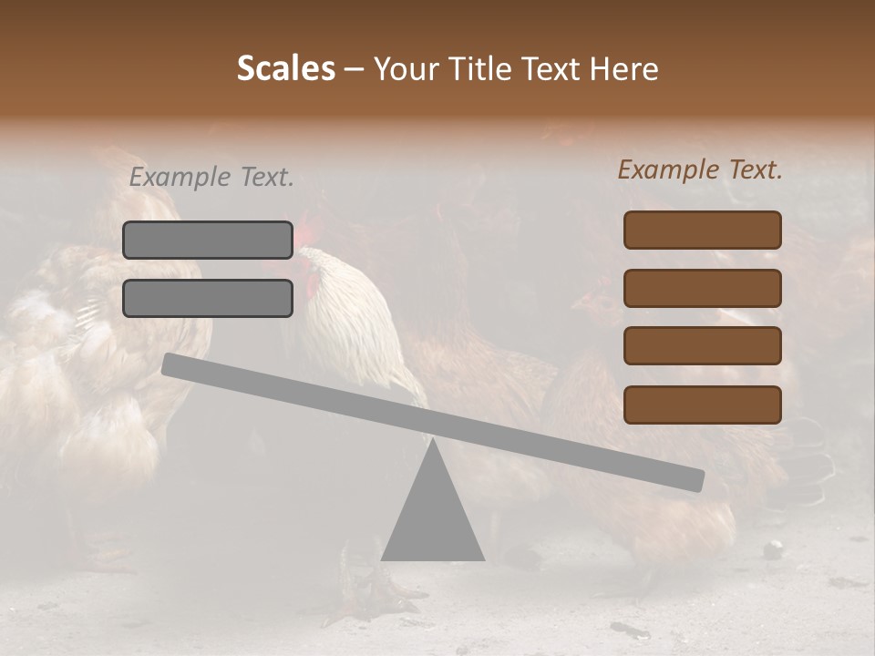 Red Poultry Bird PowerPoint Template