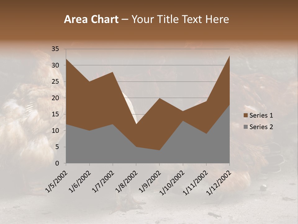 Red Poultry Bird PowerPoint Template