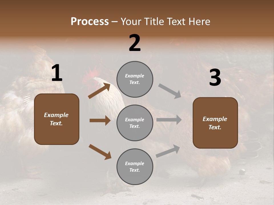 Red Poultry Bird PowerPoint Template