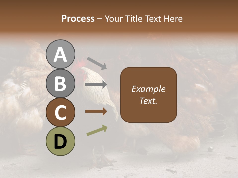 Red Poultry Bird PowerPoint Template