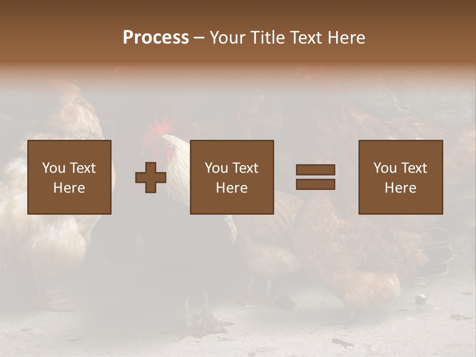 Red Poultry Bird PowerPoint Template