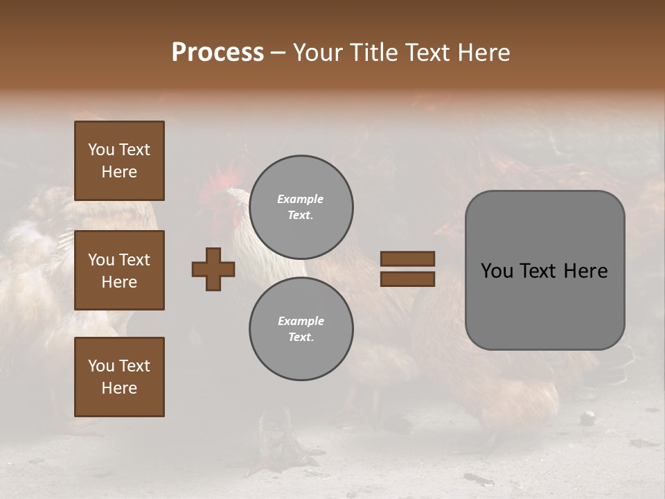 Red Poultry Bird PowerPoint Template