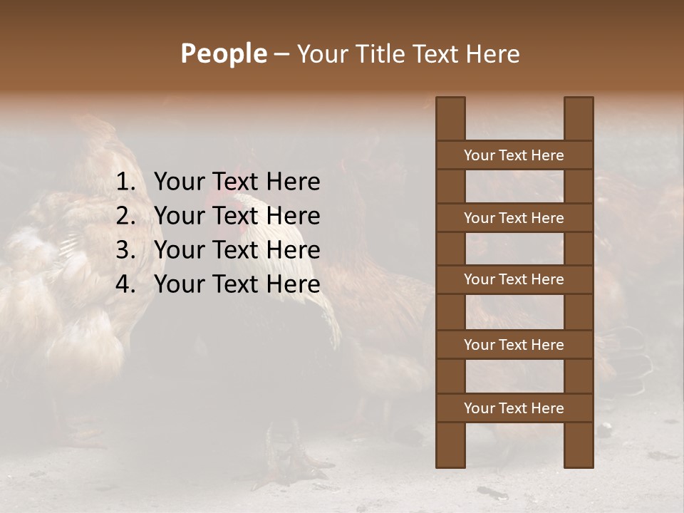 Red Poultry Bird PowerPoint Template