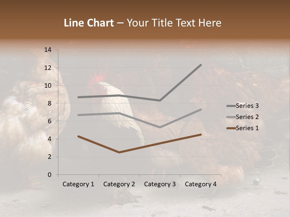 Red Poultry Bird PowerPoint Template