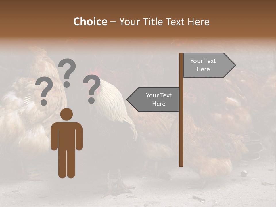 Red Poultry Bird PowerPoint Template