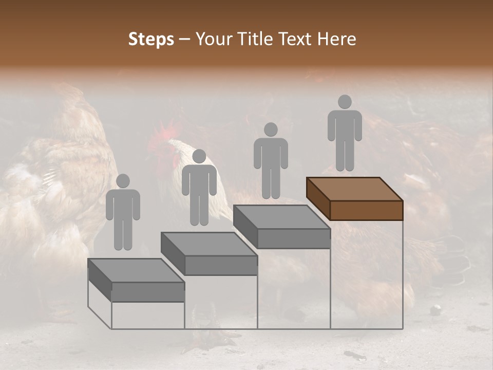 Red Poultry Bird PowerPoint Template