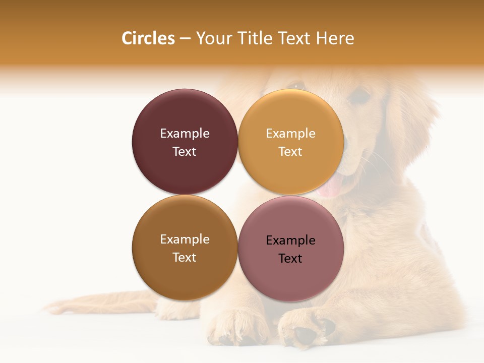 Soft Faithful Slobber PowerPoint Template