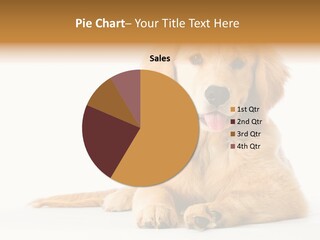 Soft Faithful Slobber PowerPoint Template