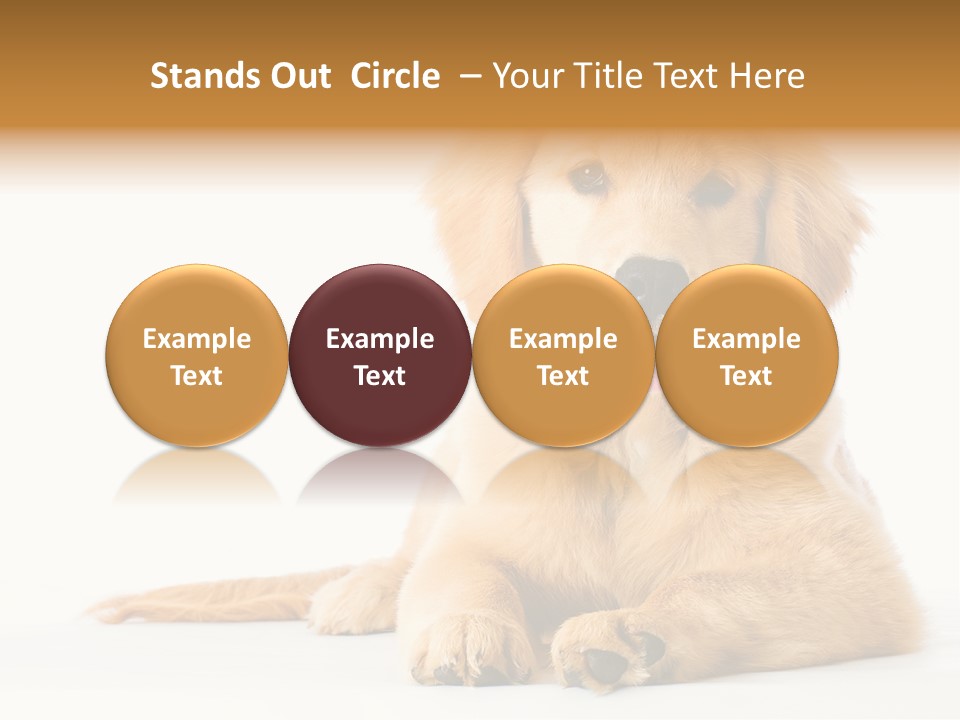 Soft Faithful Slobber PowerPoint Template