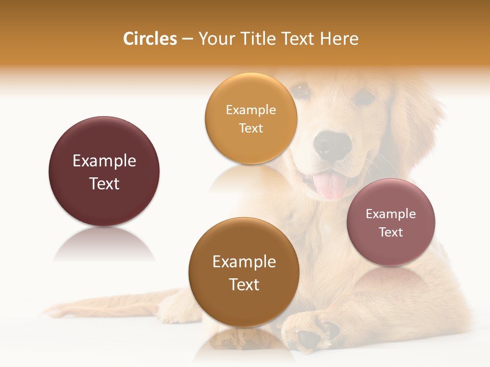 Soft Faithful Slobber PowerPoint Template