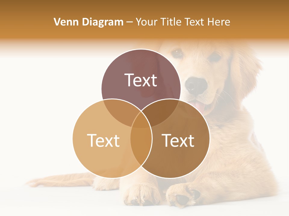 Soft Faithful Slobber PowerPoint Template
