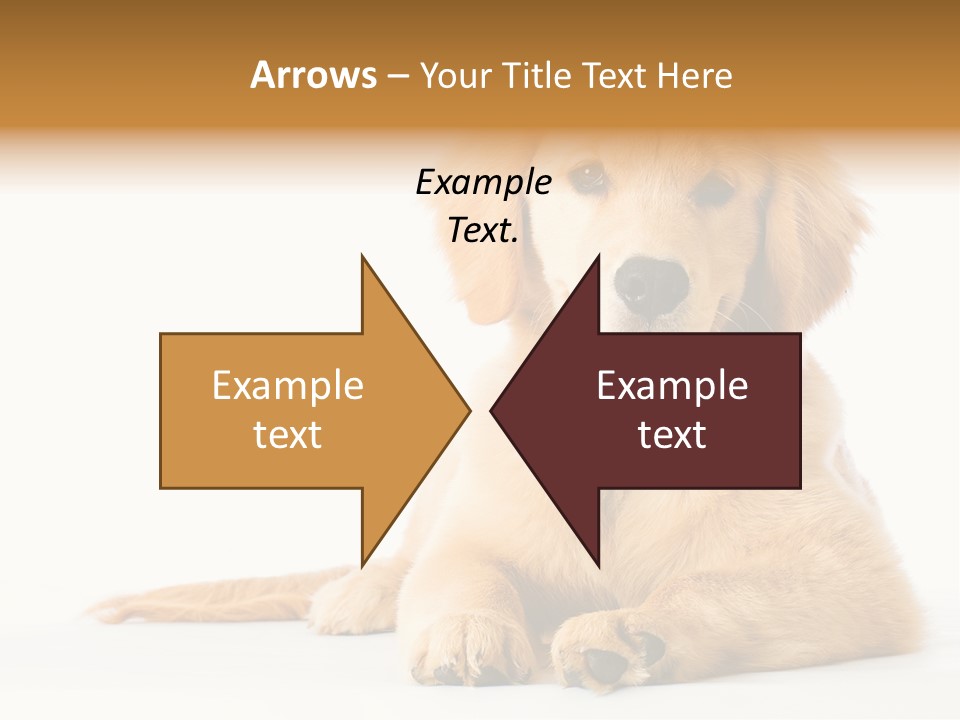 Soft Faithful Slobber PowerPoint Template