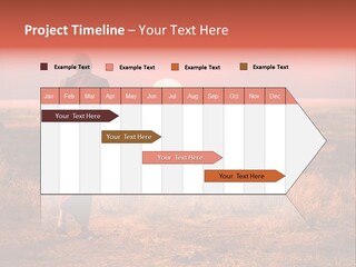 Summer Leisure Meditating PowerPoint Template