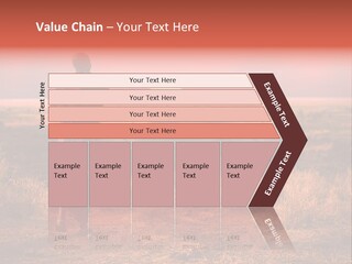 Summer Leisure Meditating PowerPoint Template