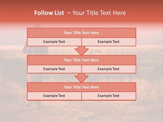Summer Leisure Meditating PowerPoint Template