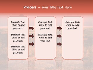 Summer Leisure Meditating PowerPoint Template