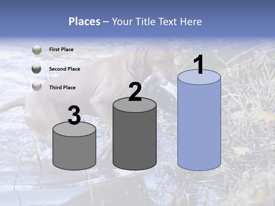 Game Management Huntsmanship Domestic Animal PowerPoint Template