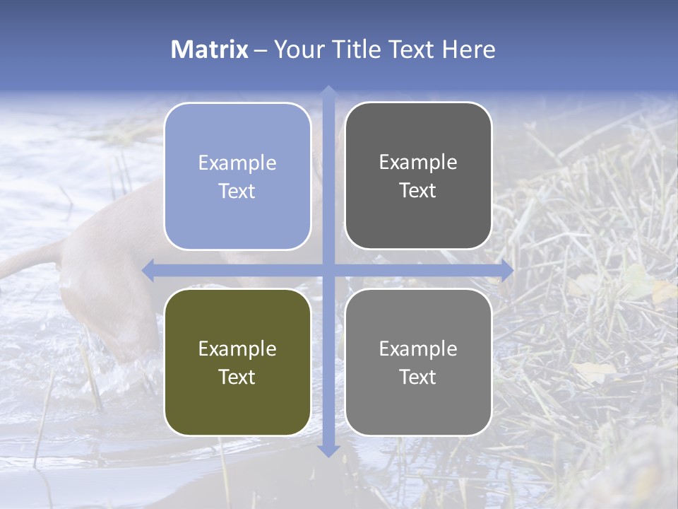 Game Management Huntsmanship Domestic Animal PowerPoint Template