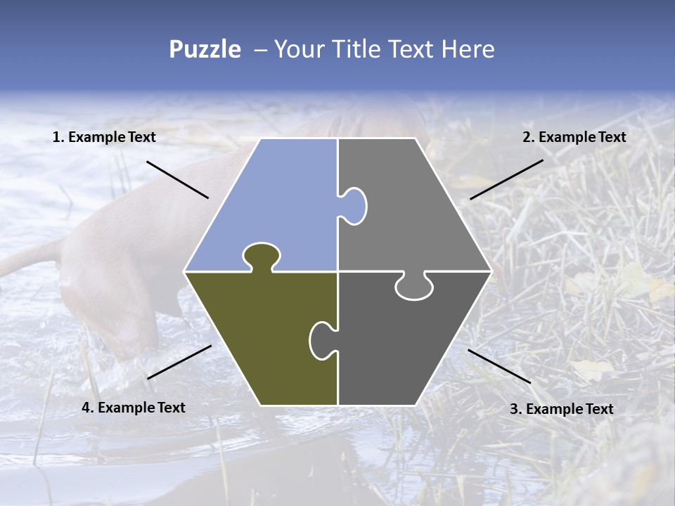 Game Management Huntsmanship Domestic Animal PowerPoint Template