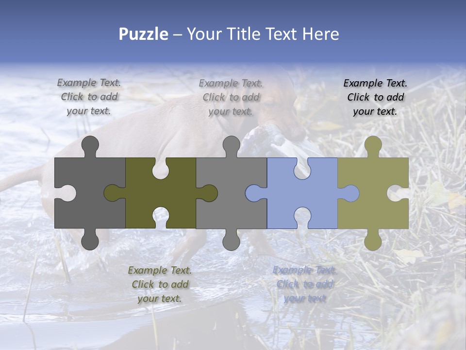 Game Management Huntsmanship Domestic Animal PowerPoint Template