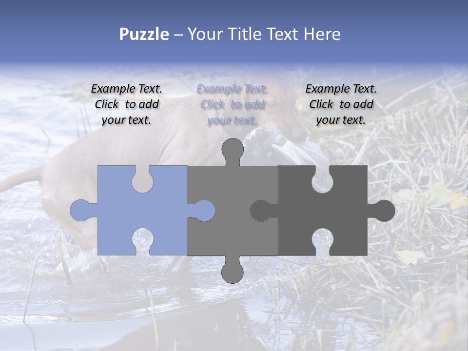 Game Management Huntsmanship Domestic Animal PowerPoint Template