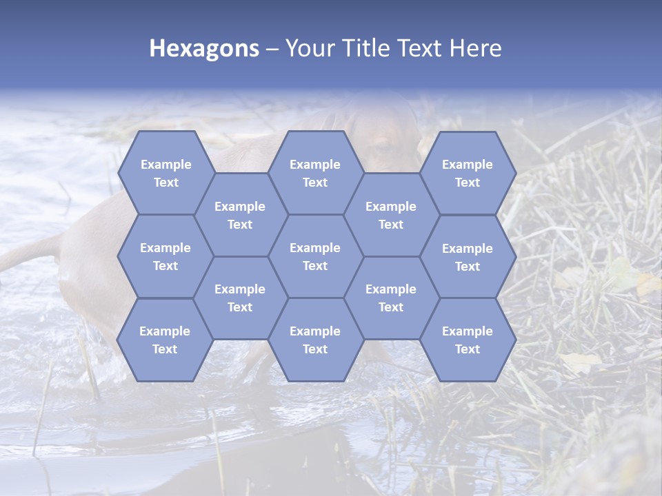 Game Management Huntsmanship Domestic Animal PowerPoint Template