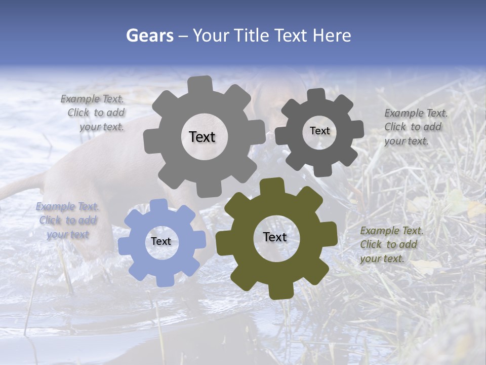 Game Management Huntsmanship Domestic Animal PowerPoint Template