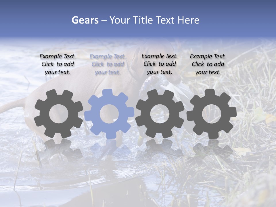 Game Management Huntsmanship Domestic Animal PowerPoint Template