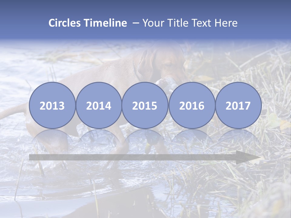 Game Management Huntsmanship Domestic Animal PowerPoint Template