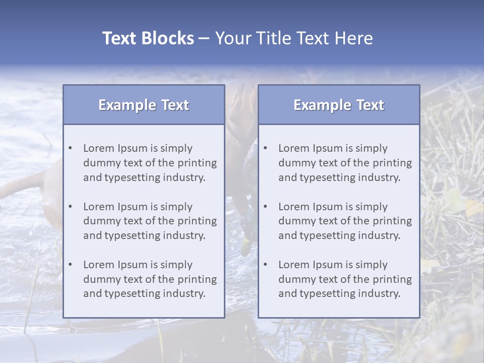 Game Management Huntsmanship Domestic Animal PowerPoint Template