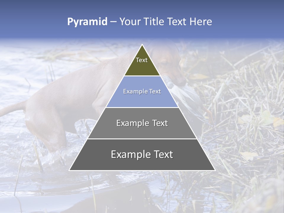 Game Management Huntsmanship Domestic Animal PowerPoint Template