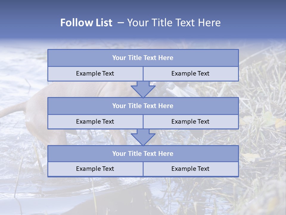 Game Management Huntsmanship Domestic Animal PowerPoint Template