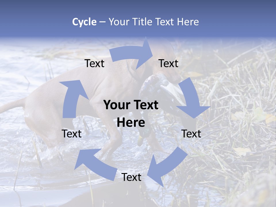 Game Management Huntsmanship Domestic Animal PowerPoint Template