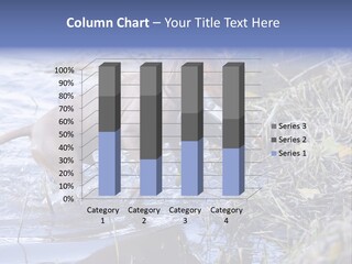 Game Management Huntsmanship Domestic Animal PowerPoint Template