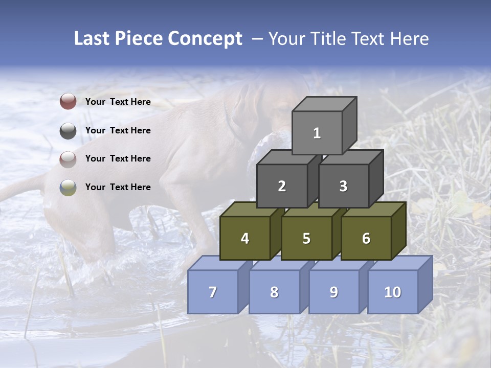 Game Management Huntsmanship Domestic Animal PowerPoint Template