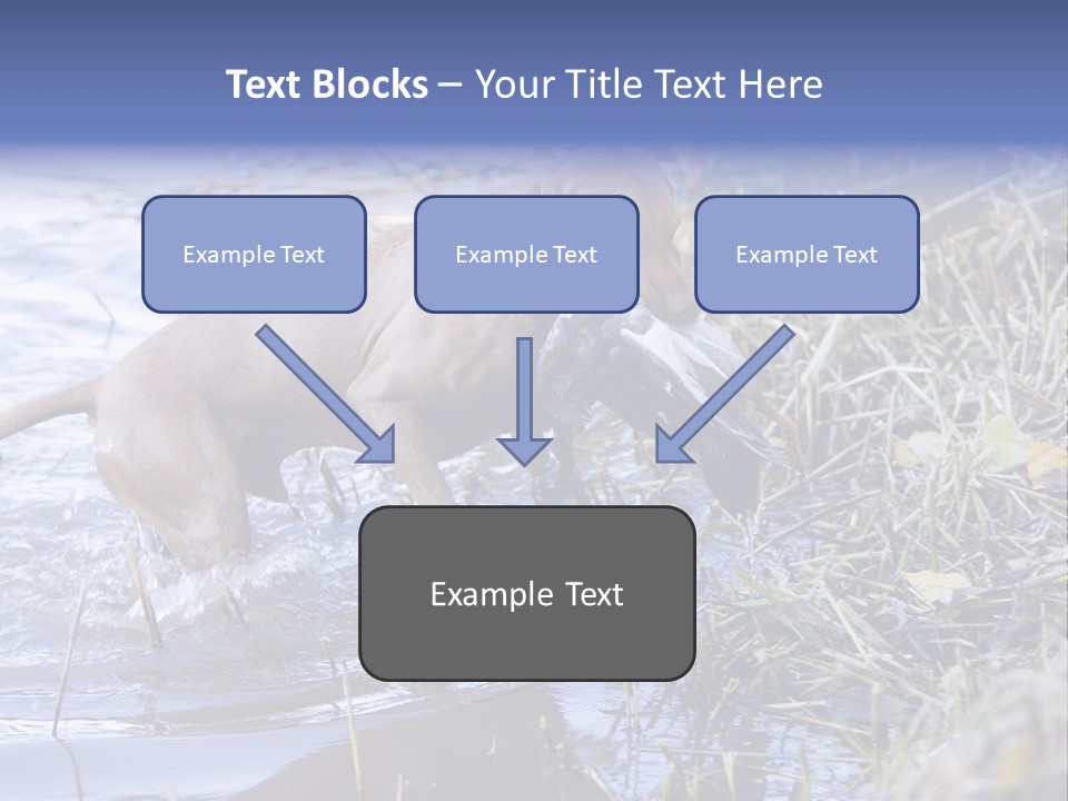 Game Management Huntsmanship Domestic Animal PowerPoint Template