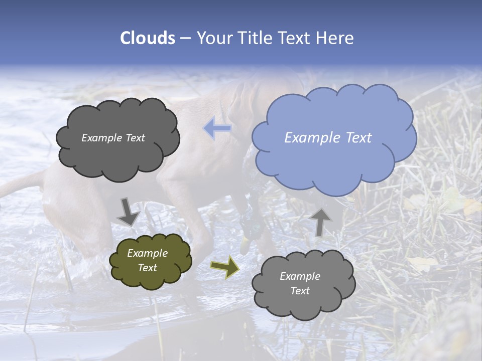 Game Management Huntsmanship Domestic Animal PowerPoint Template