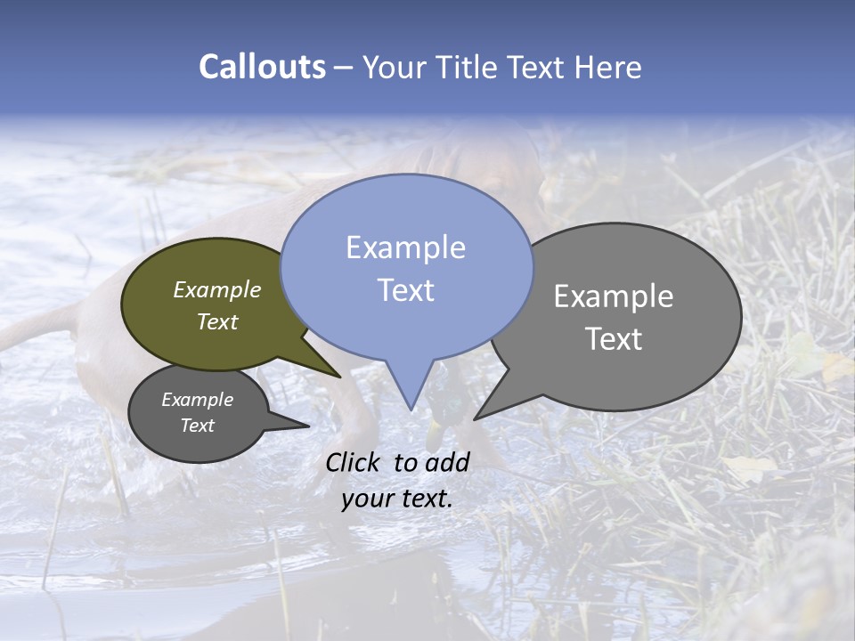 Game Management Huntsmanship Domestic Animal PowerPoint Template