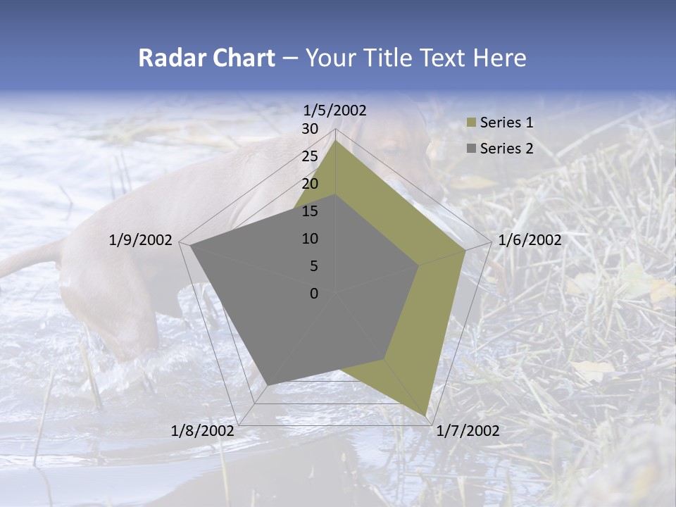Game Management Huntsmanship Domestic Animal PowerPoint Template