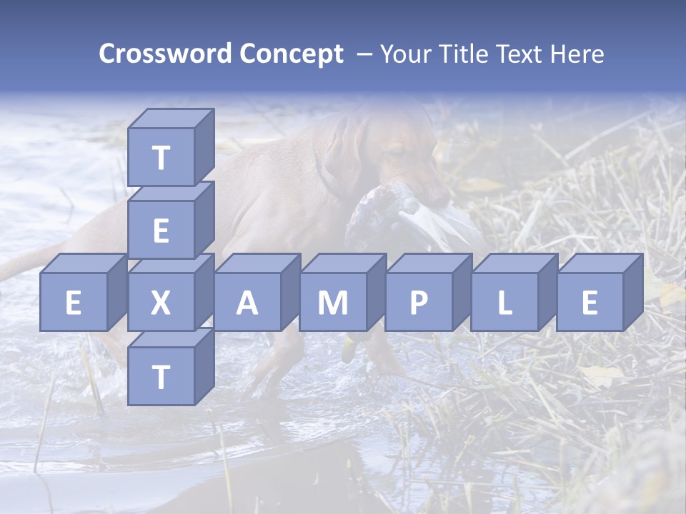 Game Management Huntsmanship Domestic Animal PowerPoint Template