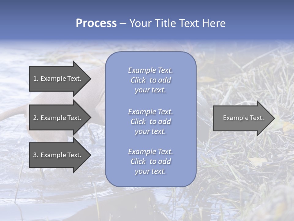 Game Management Huntsmanship Domestic Animal PowerPoint Template