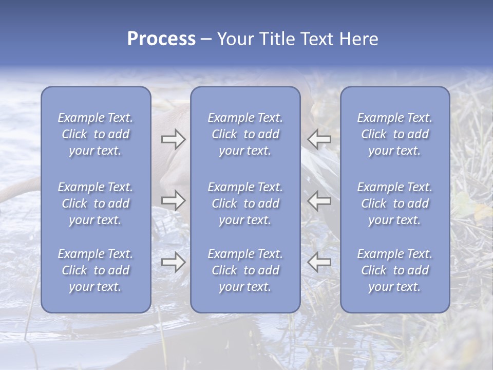 Game Management Huntsmanship Domestic Animal PowerPoint Template