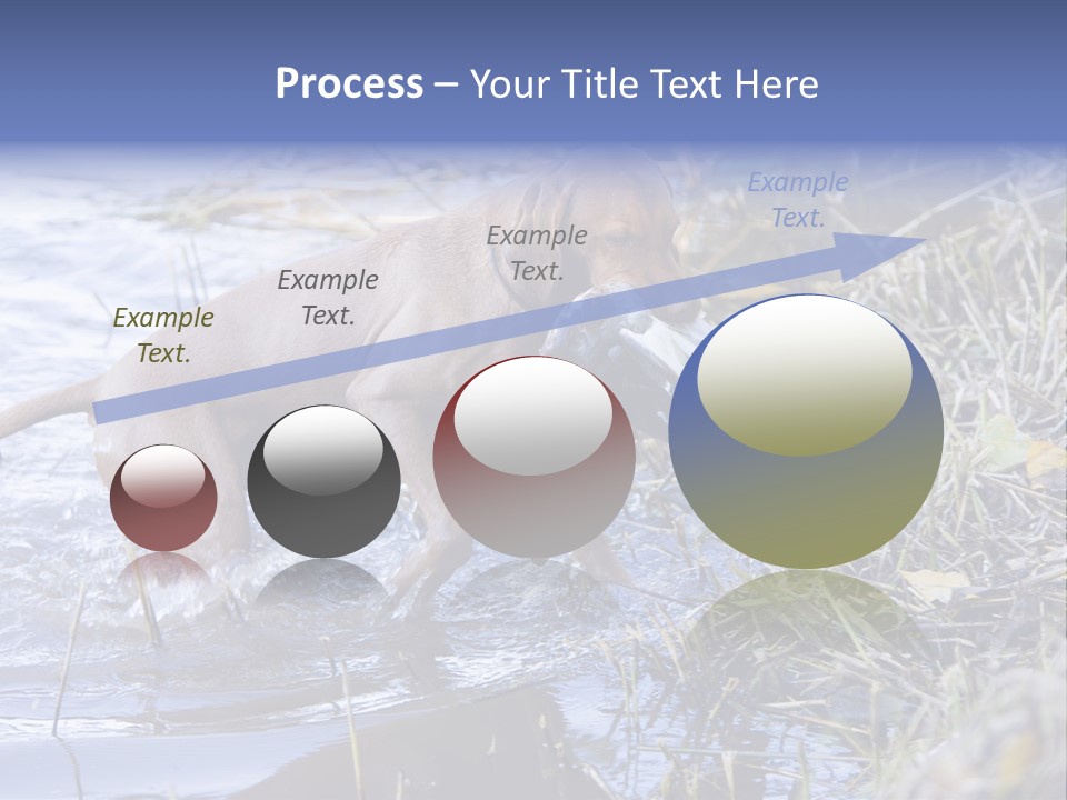 Game Management Huntsmanship Domestic Animal PowerPoint Template