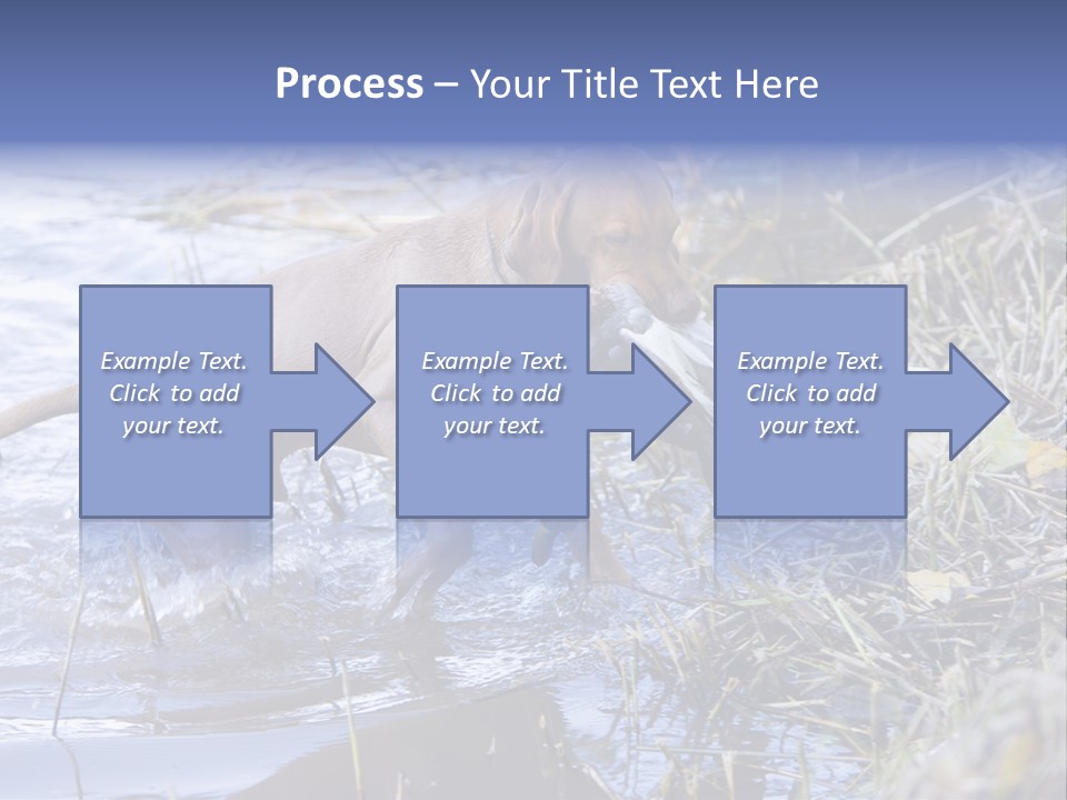 Game Management Huntsmanship Domestic Animal PowerPoint Template