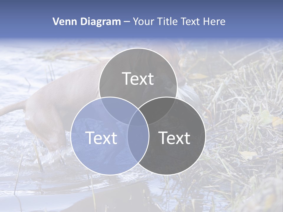 Game Management Huntsmanship Domestic Animal PowerPoint Template