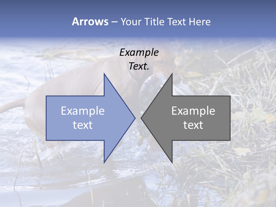 Game Management Huntsmanship Domestic Animal PowerPoint Template