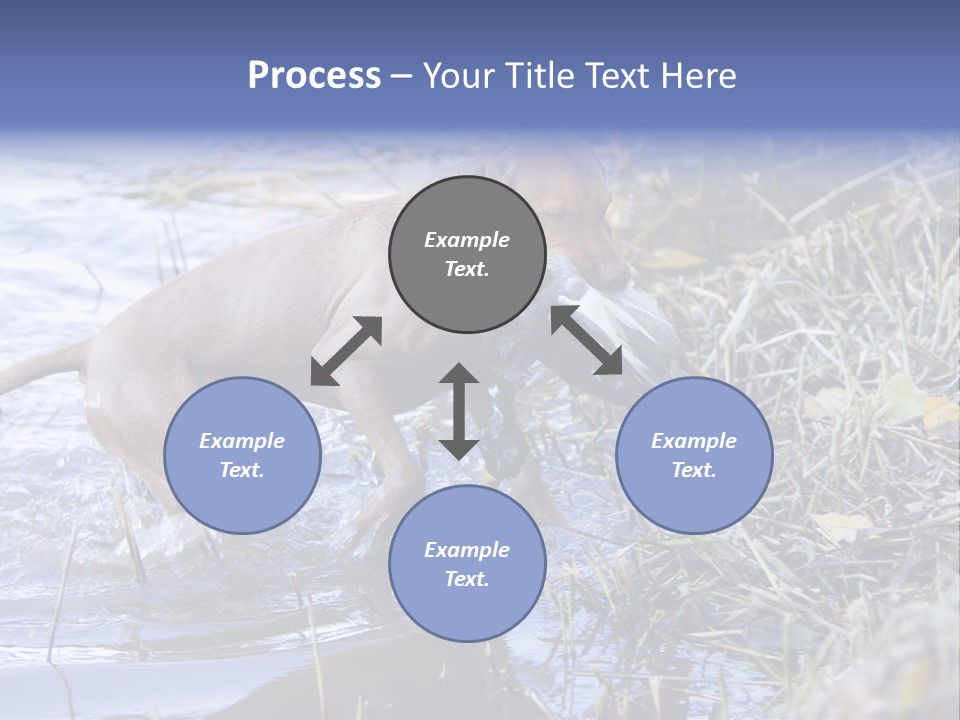 Game Management Huntsmanship Domestic Animal PowerPoint Template